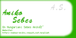 aniko sebes business card